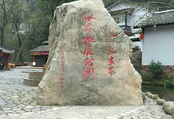 张家界世界地质公园博物馆第 16 张图片