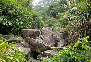 长泰鼓鸣岩风景区第 34 张图片
