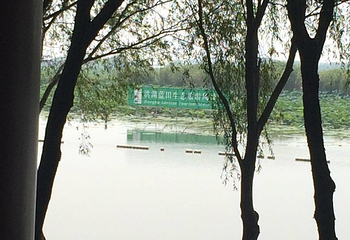 洪湖生态旅游区第 34 张图片