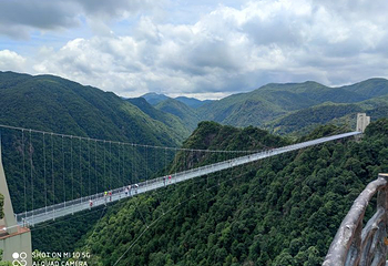 三百山景区第 32 张图片