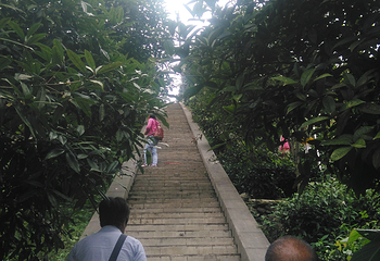 茶溪谷第 78 张图片