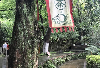 邛崃竹溪湖第 37 张图片
