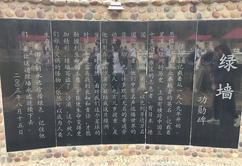恩格贝生态旅游区第 26 张图片