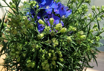 伏热花海庄园第 32 张图片