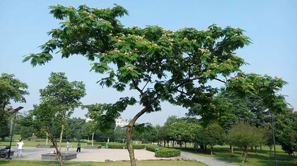 金华凤凰山公园第 4 张图片
