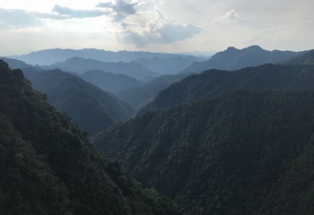 三百山景区第 46 张图片