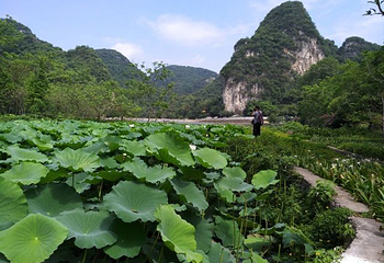 龙潭公园第 46 张图片