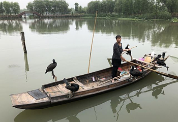 长兴太湖图影湿地文化园第 86 张图片