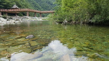 陇南阳坝梅园沟第 23 张图片
