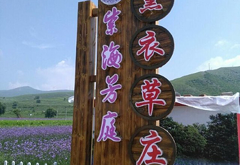 紫海芳庭薰衣草庄园第 21 张图片