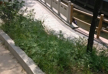 画眉谷第 30 张图片