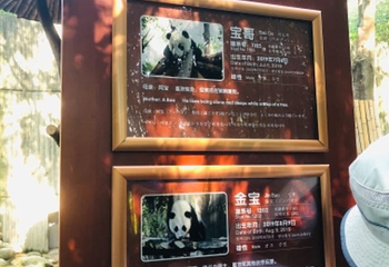 成都市人民公园第 56 张图片