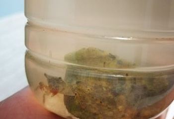 大洋山第 20 张图片