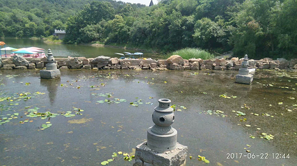 龙顶山第 13 张图片
