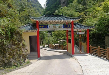 中亚楠木林风景区第 10 张图片