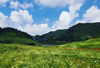 金佛山第 169 张图片