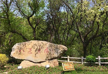 铁岭龙山第 14 张图片