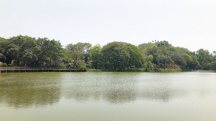 潮州绿岛旅游山庄第 48 张图片