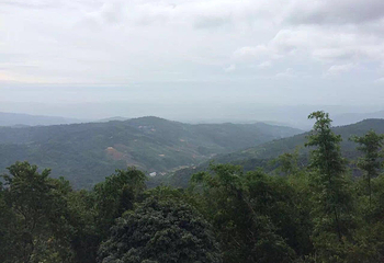 南糯山第 25 张图片