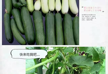 小蜜蜂农场(凯德七宝购物广场七莘路店)第 8 张图片