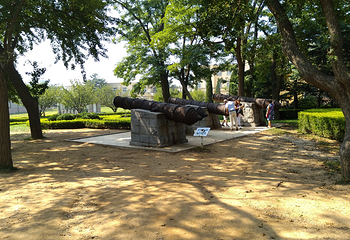 旅顺植物园第 3 张图片