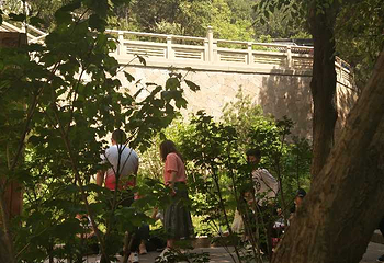 太山龙泉寺第 7 张图片