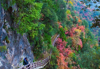 神农大峡谷景区第 34 张图片