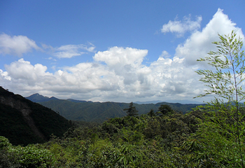 莽山旅游区国家森林公园第 92 张图片