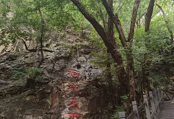 皇藏峪国家森林公园第 38 张图片
