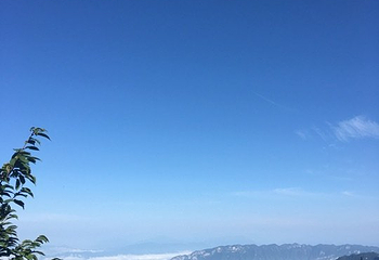湖北大老岭国家级自然保护区第 16 张图片