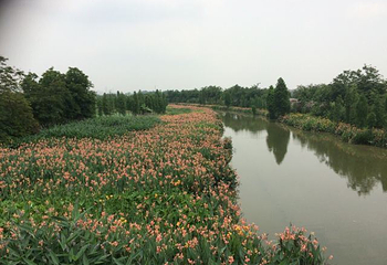 华阳湖国家湿地公园第 63 张图片