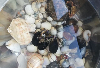第三海水浴场第 19 张图片