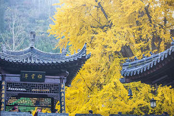 终南山观音禅寺第 3 张图片