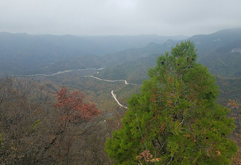 黄围山第 15 张图片