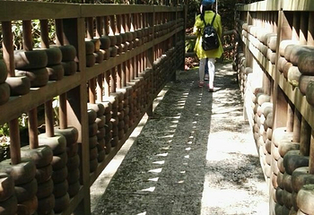 三爪仑观音岩第 20 张图片