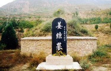 姜维墓第 2 张图片