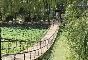 沈阳三农博览园第 34 张图片