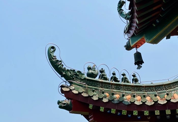 金台寺第 13 张图片