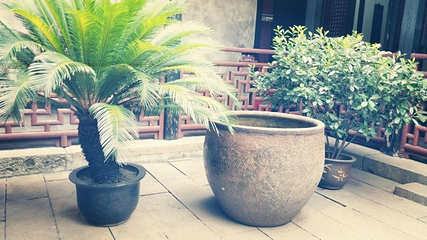 种福堂第 18 张图片