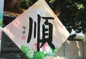 仙湖植物园第 37 张图片