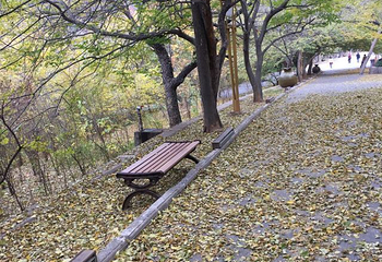 冠世榴园青檀景区第 27 张图片