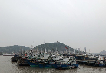 沈家门渔港第 28 张图片