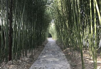 迪沟风景区第 26 张图片