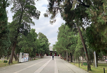 北京孔庙第 17 张图片