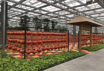 莘县中原现代农业嘉年华第 8 张图片