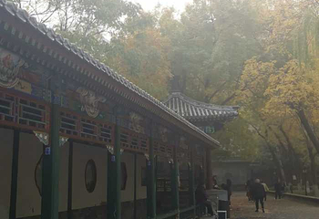 北宁公园第 34 张图片