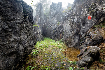 千岛湖石林景区第 67 张图片