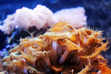 长沙海底世界第 67 张图片