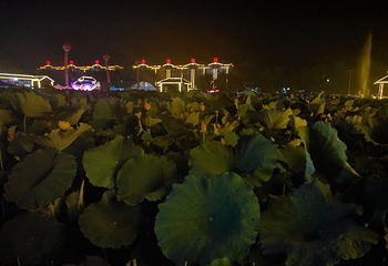 白云湖第 7 张图片
