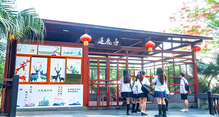 鹿回头风景区第 50 张图片